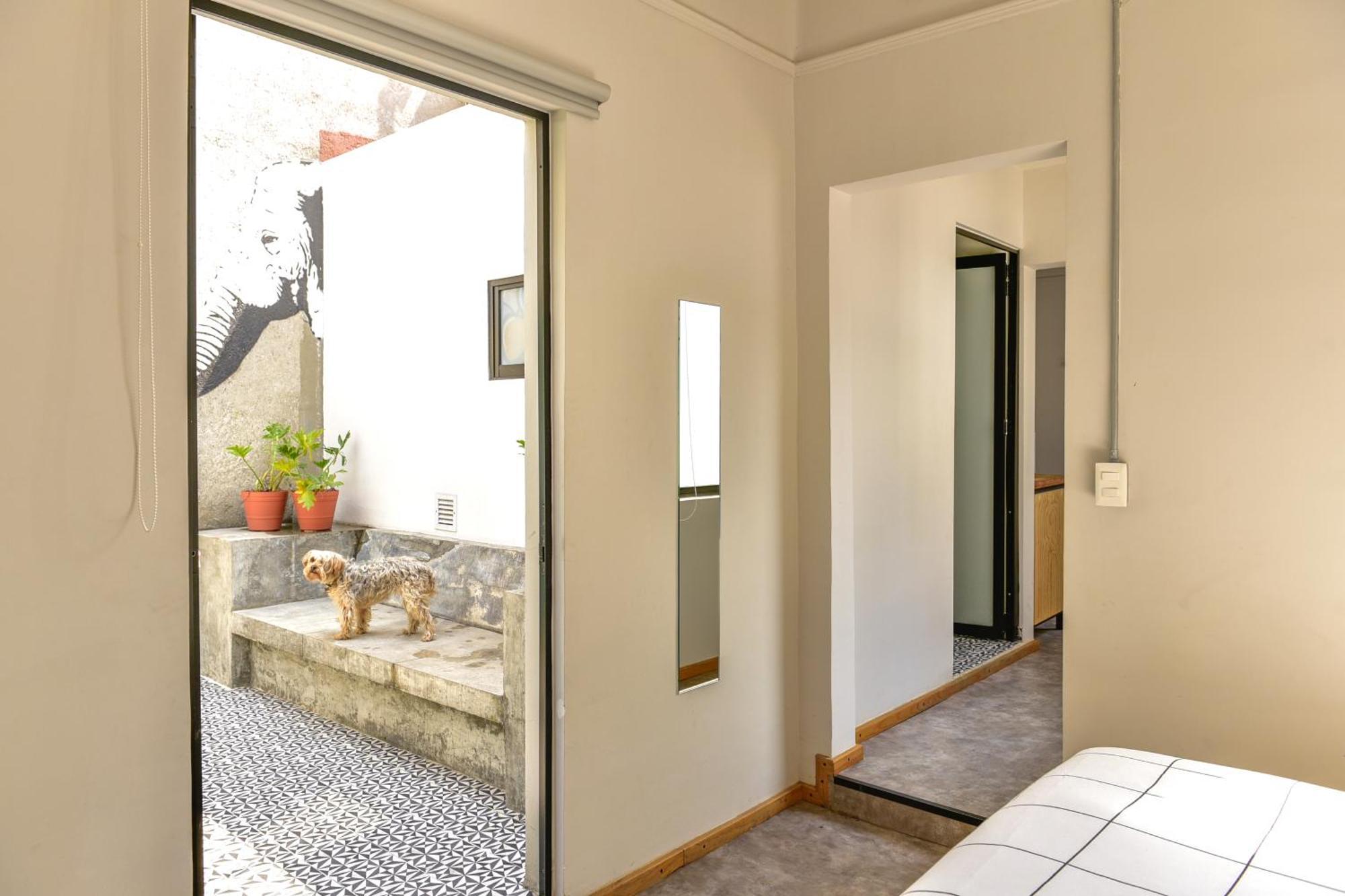 Casa Melgar Otel Meksika Dış mekan fotoğraf