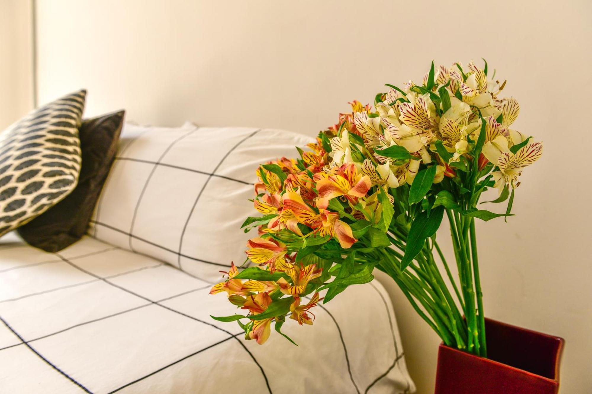 Casa Melgar Otel Meksika Dış mekan fotoğraf